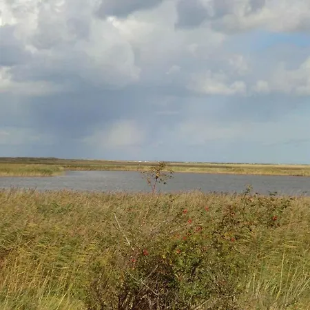 In 35179 아파트 리브니츠 담가르텐